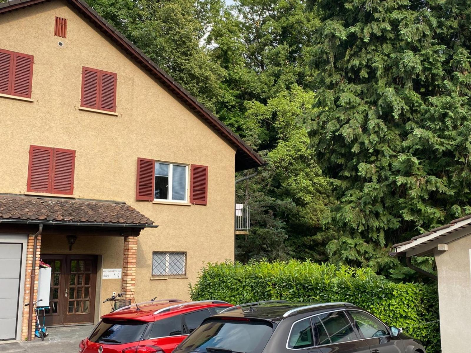 Beautiful Flat With Nice Lake And Mountain Views Weggis Exterior photo